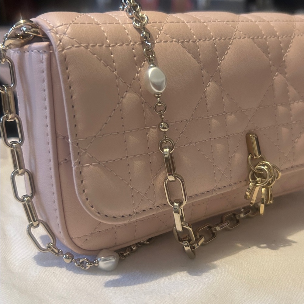 Dior Powder Pink Cannage Lambskin Bag - Picture 10 of 10